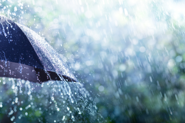 Spring Property Maintenance: What To Check Before Storm Season